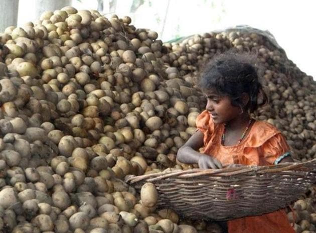 The estimates are that the rates may further go up.(Representative image) The estimates are that the rates may further go up.(Representative image)