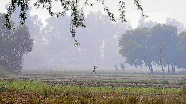 The site earmarked for the Jewar international airport project. (HT File Photo) The site earmarked for the Jewar international airport project. (HT File Photo)