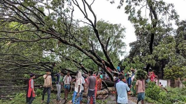 Vast parts of Murshidabad, Birbhum, East Burdwan, West Burdwan, Nadia and Malda districts were affected due to storm and lightning. (HT Photo)