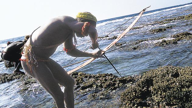 As Corals Die Watery Grave Awaits Islands Hindustan Times Port blair (100,186 pop.) as a territory of india, the andaman and nicobar islands fly the national flag of india.