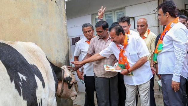 Union Minister and BJP leader Sadananda Gowda seeks blessings of a cow as he campaigns for party candidate Aswathnarayan (R) ahead of the Karnataka assembly elections in Malleswaram, Bengaluru on May 02, 2018. (PTI) Union Minister and BJP leader Sadananda Gowda seeks blessings of a cow as he campaigns for party candidate Aswathnarayan (R) ahead of the Karnataka assembly elections in Malleswaram, Bengaluru on May 02, 2018. (PTI)