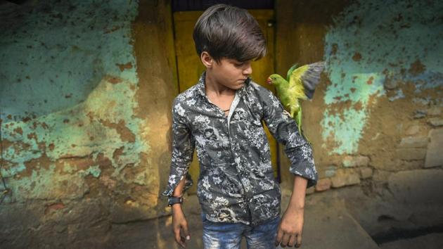Krishna, a young boy, plays with a parrot which he found during a stroll at the Nehru Park near his slum in Chanakyapuri on May 10, 2018. (Burhaan Kinu / HT Photo) Krishna, a young boy, plays with a parrot which he found during a stroll at the Nehru Park near his slum in Chanakyapuri on May 10, 2018. (Burhaan Kinu / HT Photo)