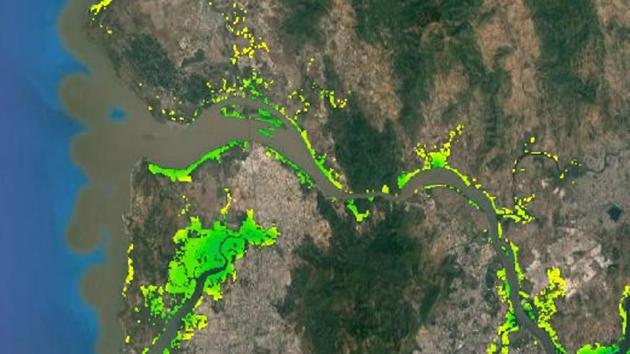 Mangrove cover over the Mumbai region.(WOODS HOLE RESEARCH CENTER, EUROPEAN SPACE AGENCY)