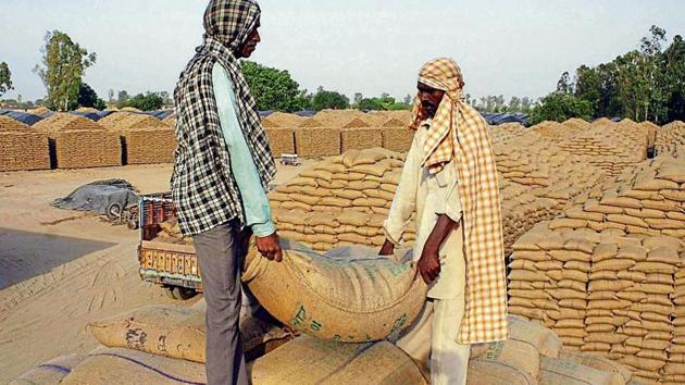 Wheat bags being stacked in an open godown in Patiala on Sunday. (Bharat Bhushan/HT) Wheat bags being stacked in an open godown in Patiala on Sunday. (Bharat Bhushan/HT)