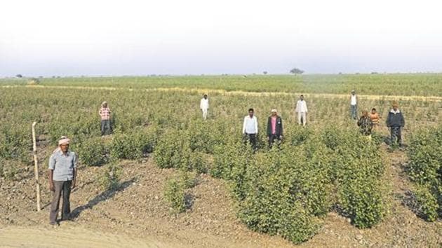 The Gujarat police arrested nearly 500 farmers after they staged a violent protest at Bhavnagar’s Surka village against land acquisition.(HT File Photo/For Representation)