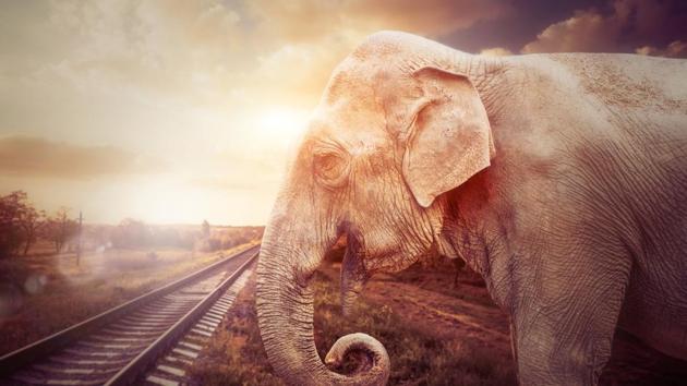 The Indian Railways has imposed speed restrictions of 30kmph to 50kmph along several stretches of tracks in the Northeast to ensure that trains don’t crash into elephants.(Getty Images/iStockphoto) The Indian Railways has imposed speed restrictions of 30kmph to 50kmph along several stretches of tracks in the Northeast to ensure that trains don’t crash into elephants.(Getty Images/iStockphoto)