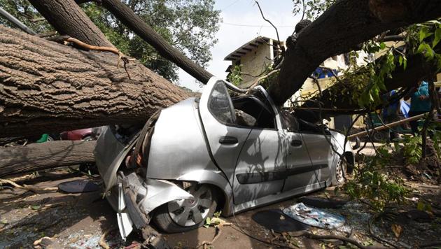 A large tree fell over a car near Minto Road, after an overnight dust storm hit the national capital in the early hours of Wednesday. The Indian Meteorological Department forecast more thunderstorms and squalls for the north and northwest regions of the country till Friday. (Arvind Yadav / HT Photo) A large tree fell over a car near Minto Road, after an overnight dust storm hit the national capital in the early hours of Wednesday. The Indian Meteorological Department forecast more thunderstorms and squalls for the north and northwest regions of the country till Friday. (Arvind Yadav / HT Photo)