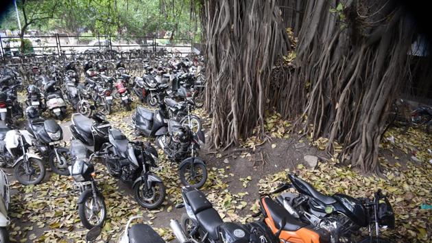 The Banyan tree seen in Sector 17 at ISBT parking is 250 years old. (HT Photo) The Banyan tree seen in Sector 17 at ISBT parking is 250 years old. (HT Photo)