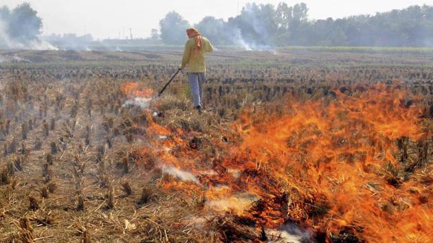 The problem of stubble burning has been recurring despite promises and announcements by the states and Centre. (PTI File) The problem of stubble burning has been recurring despite promises and announcements by the states and Centre. (PTI File)