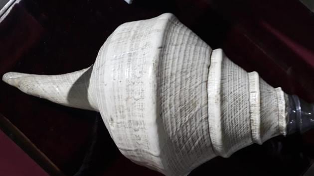 The conch shell of the 18th century ruler of Mysore Tipu Sultan is exhibited in the central hall of the museum on the occasion of International Museum Day on May 18.(HT Photo) The conch shell of the 18th century ruler of Mysore Tipu Sultan is exhibited in the central hall of the museum on the occasion of International Museum Day on May 18.(HT Photo)