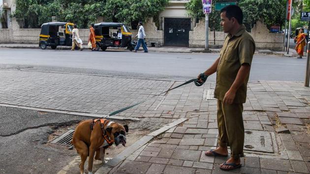 A pet dog defecates near the footpath on Boat Club road in Pune. (Sanket Wankhade/HT PHOTO) A pet dog defecates near the footpath on Boat Club road in Pune. (Sanket Wankhade/HT PHOTO)