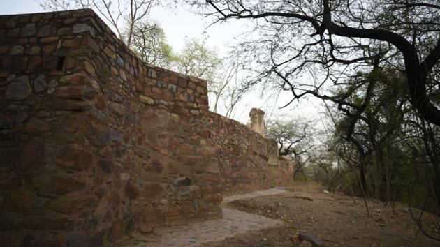Paranormal tours also celebrate Delhi’s multilayered history, if only through the shadowy recesses at Feroz Shah Kotla that are said to harbour djinns and spirits, or midnight walks through the mausoleums of the 16th century Sufi saints Jamali and Kamali where tales abound of an invisible gaze deftly following visitors and voices that call out from the mazaar. (Burhaan Kinu / HT Photo) Paranormal tours also celebrate Delhi’s multilayered history, if only through the shadowy recesses at Feroz Shah Kotla that are said to harbour djinns and spirits, or midnight walks through the mausoleums of the 16th century Sufi saints Jamali and Kamali where tales abound of an invisible gaze deftly following visitors and voices that call out from the mazaar. (Burhaan Kinu / HT Photo)