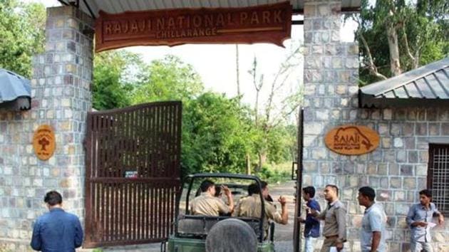Officials monitored Chilla and Motichur ranges where the translocation is proposed. (HT Photo) Officials monitored Chilla and Motichur ranges where the translocation is proposed. (HT Photo)