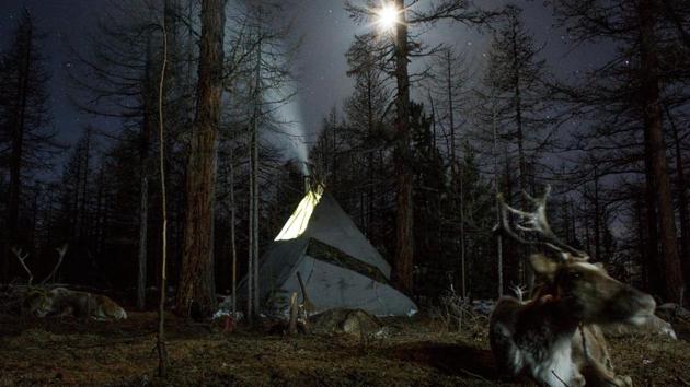 Smoke rises from the chimney of the family tent of Dukha herder Erdenebat Chuluu. The head ranger of the National Park, Tumursukh Jal, grew up in the area and knows the Dukha’s history well. Despite the Dukha’s concerns, he insisted they must follow the law. “It’s not about Dukha or Mongolian, it’s about people illegally hunting,” Jal said. (Thomas Peter / REUTERS) Smoke rises from the chimney of the family tent of Dukha herder Erdenebat Chuluu. The head ranger of the National Park, Tumursukh Jal, grew up in the area and knows the Dukha’s history well. Despite the Dukha’s concerns, he insisted they must follow the law. “It’s not about Dukha or Mongolian, it’s about people illegally hunting,” Jal said. (Thomas Peter / REUTERS)