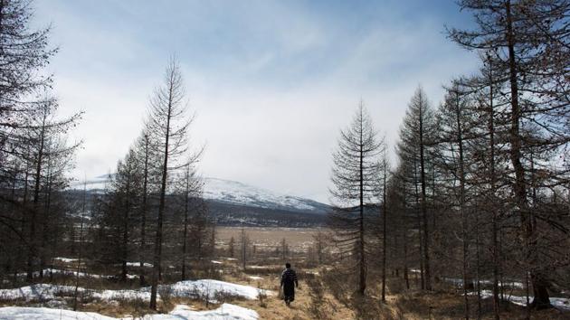 Chuluu has lived all his life in the centuries-old tradition of his Dukha ancestors, renowned for their reindeer-herding and hunter-gathering skills in the forests of the rugged Sayan Mountains straddling the Russian border. But the Dukha fear they are losing their identity in the face of a conservation order that bans unlicensed hunting on most of their traditional land. (Thomas Peter / REUTERS) Chuluu has lived all his life in the centuries-old tradition of his Dukha ancestors, renowned for their reindeer-herding and hunter-gathering skills in the forests of the rugged Sayan Mountains straddling the Russian border. But the Dukha fear they are losing their identity in the face of a conservation order that bans unlicensed hunting on most of their traditional land. (Thomas Peter / REUTERS)