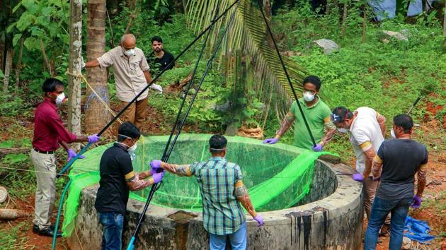 Animal Husbandry department and forest officials collect bats from the well of a house after the outbreak of ‘Nipah’ virus, near Perambra in Kozhikode on Monday. A nurse caring for patients infected with a deadly virus has died from the disease. The 31-year-old nurse left behind two young children, a husband who works overseas and a letter that she wrote in the hours before her death. (PTI) Animal Husbandry department and forest officials collect bats from the well of a house after the outbreak of ‘Nipah’ virus, near Perambra in Kozhikode on Monday. A nurse caring for patients infected with a deadly virus has died from the disease. The 31-year-old nurse left behind two young children, a husband who works overseas and a letter that she wrote in the hours before her death. (PTI)