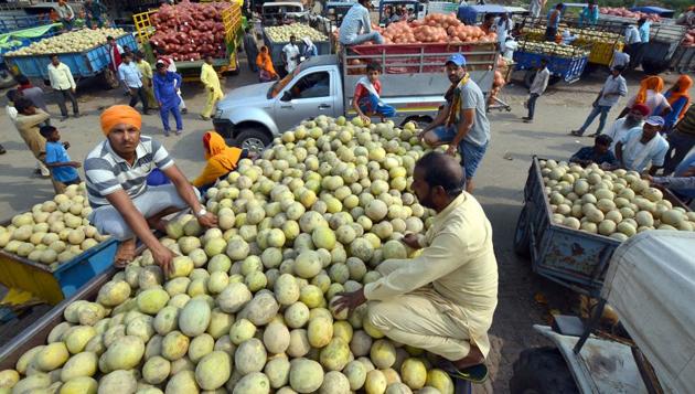Muskmelons on sale at Roopewal near Malsian in Shahkot on Tuesday.(Pardeep Pandit/HT) Muskmelons on sale at Roopewal near Malsian in Shahkot on Tuesday.(Pardeep Pandit/HT)