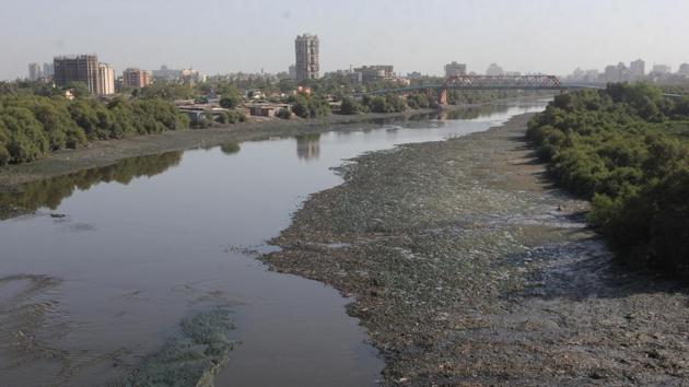 Saket creek will be used to ply ferries to Mumbai and Navi Mumbai.(Praful Gangurde/ Hindustan Times)