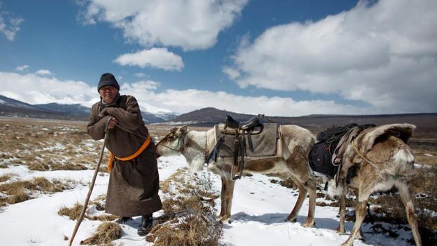Erdenebat Chuluu, a nomadic herder, shouts words of encouragement to the reindeer he is riding. “Chu!, Chu!,” he calls, urging the animal out of a cedar wood and onto a plain in the southern reaches of the Mongolian Taiga. Once in the open, they gingerly step over fallen trees and navigate creeks of melted snow, oblivious to the late winter chill. (Thomas Peter / REUTERS) Erdenebat Chuluu, a nomadic herder, shouts words of encouragement to the reindeer he is riding. “Chu!, Chu!,” he calls, urging the animal out of a cedar wood and onto a plain in the southern reaches of the Mongolian Taiga. Once in the open, they gingerly step over fallen trees and navigate creeks of melted snow, oblivious to the late winter chill. (Thomas Peter / REUTERS)