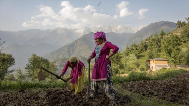 Women prepare a field for sowing corn in Dharamsala, Himachal Pradesh on May 22, 2018. Barley and corn are the major crops of high-altitude farms in the region. (Ashwini Bhatia / AP)