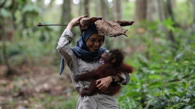 A staff member carries an orphaned orangutan at the newly opened FOUR PAWS Orangutan Forest School in East Kalimantan, Indonesia. (Four Paws / AFP)