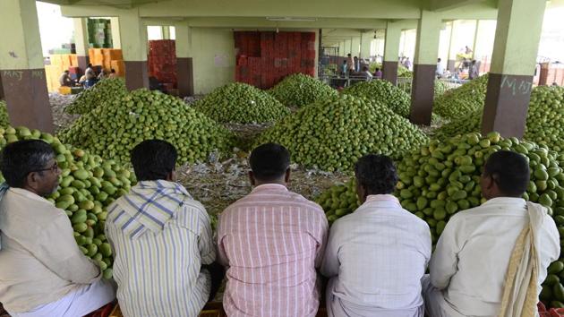 Farmers wait for mangoes to be auctioned at the Gaddiannaram fruit market on the outskirts of Hyderabad.(AFP File Photo)