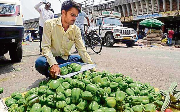 According to the officials of agricultural produce market committee (APMC), Pune, the wholesale prices of vegetables, like capsicum, drumstick, beans, are expected to increase in the next few days owing to low supply of these vegetables to the Pune market yard.(RAVINDRA JOSHI/HT PUNE) According to the officials of agricultural produce market committee (APMC), Pune, the wholesale prices of vegetables, like capsicum, drumstick, beans, are expected to increase in the next few days owing to low supply of these vegetables to the Pune market yard.(RAVINDRA JOSHI/HT PUNE)