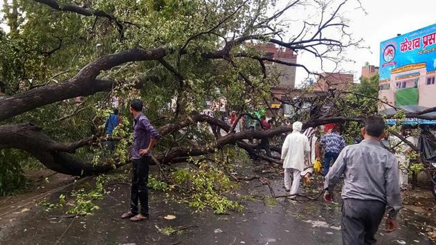 People walk past a huge tree that fell on a road during Monday night's thunderstorm and rain, in Unnao, Uttar Pradesh. (PTI Photo) People walk past a huge tree that fell on a road during Monday night's thunderstorm and rain, in Unnao, Uttar Pradesh. (PTI Photo)