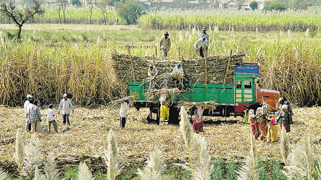 India eyes Chinese sugar sector, plans to export 1.5 million tonnes ...
