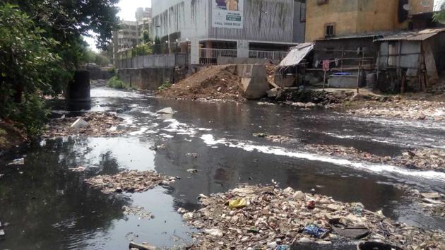 The seven-kilometre Poisar river is brimming with untreated domestic waste, sewage, and carcasses, said NGO Watchdog Foundation.(HT Photo) The seven-kilometre Poisar river is brimming with untreated domestic waste, sewage, and carcasses, said NGO Watchdog Foundation.(HT Photo)