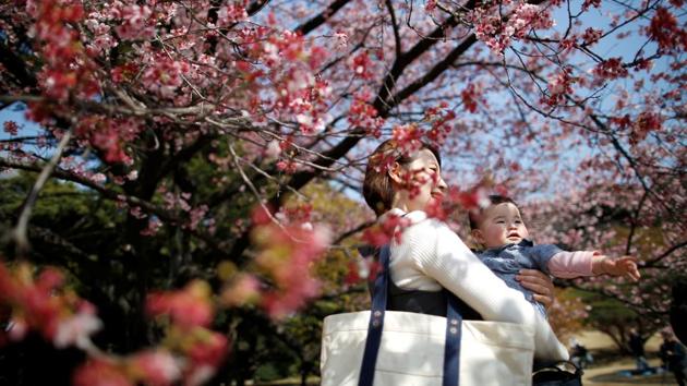 A seven-month-old baby and her mother look at early flowering Kanzakura cherry blossoms in full bloom at the Shinjuku Gyoen National Garden in Tokyo, Japan on March 14. (REUTERS) A seven-month-old baby and her mother look at early flowering Kanzakura cherry blossoms in full bloom at the Shinjuku Gyoen National Garden in Tokyo, Japan on March 14. (REUTERS)