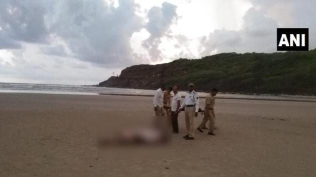 The beach is about 15 kilometres from Ganpatipule.(ANI Photo) The beach is about 15 kilometres from Ganpatipule.(ANI Photo)