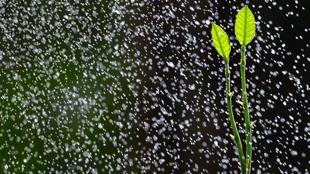 The World Environment Day is organised by the United Nations Environment Programme on June 5 since 1974.(Getty Images/iStockphoto) The World Environment Day is organised by the United Nations Environment Programme on June 5 since 1974.(Getty Images/iStockphoto)