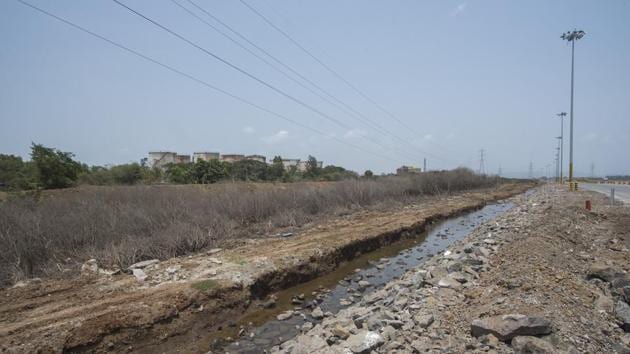 HT found that large tracts of mangroves had dried up near Hovercraft jetty, fourth container terminal at JNPT, where Bharat Mumbai Container Terminal Private Limited (BMCTPL) is located, and even areas where hacked mangrove trees were stored by unknown persons, a clear violation of Bombay high court orders and Environment Protection Act, 1986, near Gavhan village.(PRATIK CHORGE/HT)