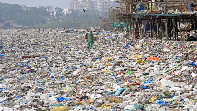 The mangrove cell will clean-up Colaba, Vikhroli, Kandivli, Borivli and Trombay in days to come.(HT FILE)