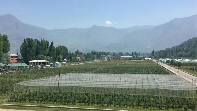 A high-density apple orchard at SKUAST university in Shalimar.(Waseem Andrabi/HT) A high-density apple orchard at SKUAST university in Shalimar.(Waseem Andrabi/HT)