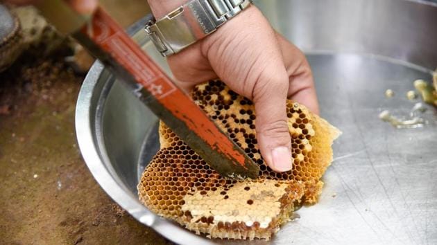 There are 5,566 bee keepers in Uttarakhand who produce over 1,400 tonnes of honey annually.(HT Photo) There are 5,566 bee keepers in Uttarakhand who produce over 1,400 tonnes of honey annually.(HT Photo)