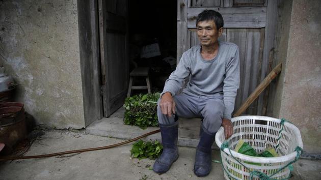 When the people left, Lin began planting cauliflower, cabbage, lettuce, celery and basil. He said he now farms more than 1,300 square meters (a third of an acre) of various plots scattered across abandoned lawns, gardens and terraces. Lin chuckled when asked if the village was haunted. “People got scared and said ghosts were living here, so it was called ghost village,” Lin said. (Sam McNeil / AP) When the people left, Lin began planting cauliflower, cabbage, lettuce, celery and basil. He said he now farms more than 1,300 square meters (a third of an acre) of various plots scattered across abandoned lawns, gardens and terraces. Lin chuckled when asked if the village was haunted. “People got scared and said ghosts were living here, so it was called ghost village,” Lin said. (Sam McNeil / AP)