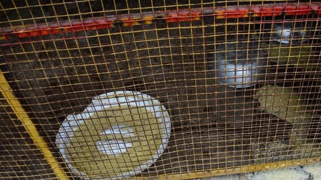 A kennel at Blue Cross society hospital. Many animal welfare board volunteers allege that dogs found inside the hospital are often mistreated and kept in extremely unkempt kennels.(Shankar Narayan/HT PHOTO)