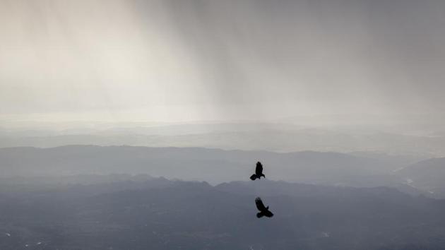 Light to moderate rains and thunderstorm occurred at isolated places in Uttar Pradesh on Wednesday.(AP/File Photo)