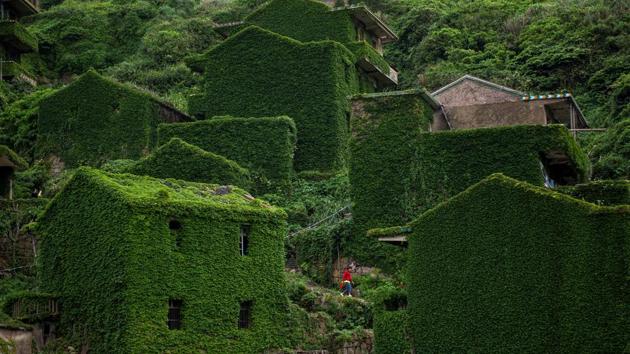 Abandoned houses in Houtouwan on China’s Shengshan island in Zhejiang province. It was once a thriving fishing community.(AFP)