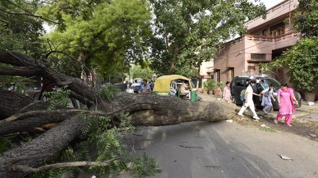 The move to plant more saplings is vital as Gurugram has lost significant tree cover in last two years due to the construction of underpasses, flyovers and underpasses at Iffco Chowk, Signature Tower, Rajiv Chowk, and Hero Honda Chowk.(Sanjeev Verma/HT File Photo)