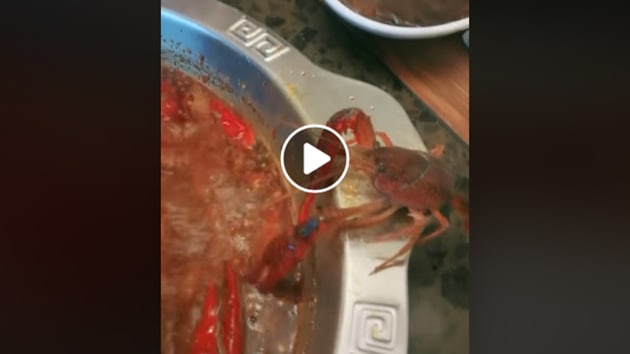 Crayfish removes its own claw to escape hotpot (Facebook)