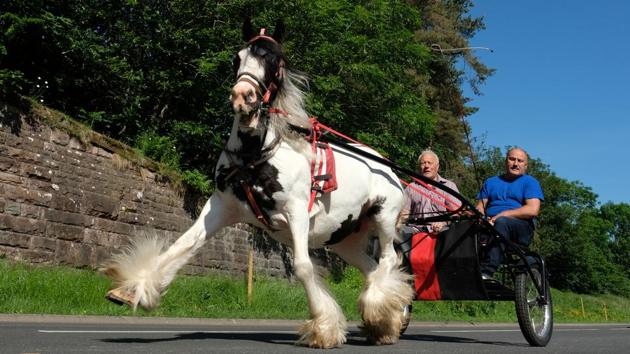 A horse and trap is driven along flashing lane on the first day of the Appleby Horse Fair, an annual gathering for Gypsy, Romany and travelling communities in Appleby, England. (Ian Forsyth / Getty Images)
