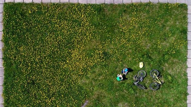 An aerial view shows children playing on the grass in the Siberian town of Divnogorsk, Russia. (Ilya Naymushin / REUTERS)