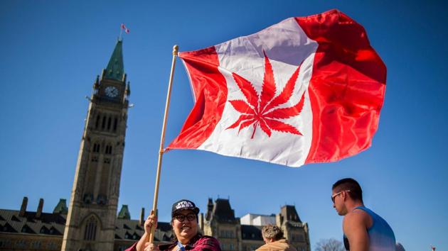 File photo shows a woman waving a flag with a marijuana leaf on it next to a group gathered to celebrate National Marijuana Day on Parliament Hill in Ottawa, Canada. (AFP photo) File photo shows a woman waving a flag with a marijuana leaf on it next to a group gathered to celebrate National Marijuana Day on Parliament Hill in Ottawa, Canada. (AFP photo)