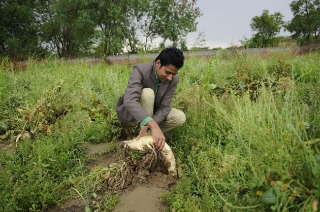 An urban professional trying his hand at organic farming, much like the husband in Yashodhara Lal’s How I Became A Farmer’s Wife.(Burhaan Kinu/Hindustan Times) An urban professional trying his hand at organic farming, much like the husband in Yashodhara Lal’s How I Became A Farmer’s Wife.(Burhaan Kinu/Hindustan Times)