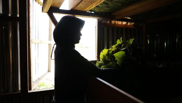 A worker lays out kratom leaves for drying. As the opioid overdose death toll rises, Americans looking for ways to relieve chronic pain or to wean themselves off painkillers have turned to kratom, long chewed by Asian farmers. “Kratom runs the economy here,” said Abdul Hamid, who oversees a plantation and puts the number of people employed in kratom-related businesses at 60,000. (Dimas Ardian / Bloomberg) A worker lays out kratom leaves for drying. As the opioid overdose death toll rises, Americans looking for ways to relieve chronic pain or to wean themselves off painkillers have turned to kratom, long chewed by Asian farmers. “Kratom runs the economy here,” said Abdul Hamid, who oversees a plantation and puts the number of people employed in kratom-related businesses at 60,000. (Dimas Ardian / Bloomberg)
