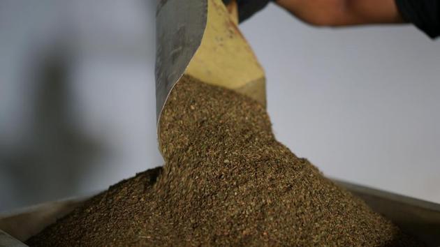 Kratom usually reaches Americans in pill or powder form. Last year exporters in and around Pontianak -- the part of Borneo that is the industry’s hub -- sold as many as 400 tons of kratom products per month. The Indonesian industry acknowledges that there are some risks of addiction from kratom. Some exporters are shipping to countries like Peru for added processing before sending products to the US. (Dimas Ardian / Bloomberg) Kratom usually reaches Americans in pill or powder form. Last year exporters in and around Pontianak -- the part of Borneo that is the industry’s hub -- sold as many as 400 tons of kratom products per month. The Indonesian industry acknowledges that there are some risks of addiction from kratom. Some exporters are shipping to countries like Peru for added processing before sending products to the US. (Dimas Ardian / Bloomberg)