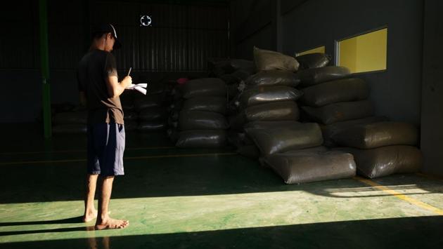 For the locals, the boom in the Kratom industry has been profitable and improved their living conditions. The rubber industry used to put food on the table and pay for school tuition, but it was kratom that brought motorcycles and cars into these neighbourhoods. (Dimas Ardian / Bloomberg) For the locals, the boom in the Kratom industry has been profitable and improved their living conditions. The rubber industry used to put food on the table and pay for school tuition, but it was kratom that brought motorcycles and cars into these neighbourhoods. (Dimas Ardian / Bloomberg)
